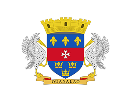 Saint Barthélemy flag
