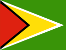 Guyana flag